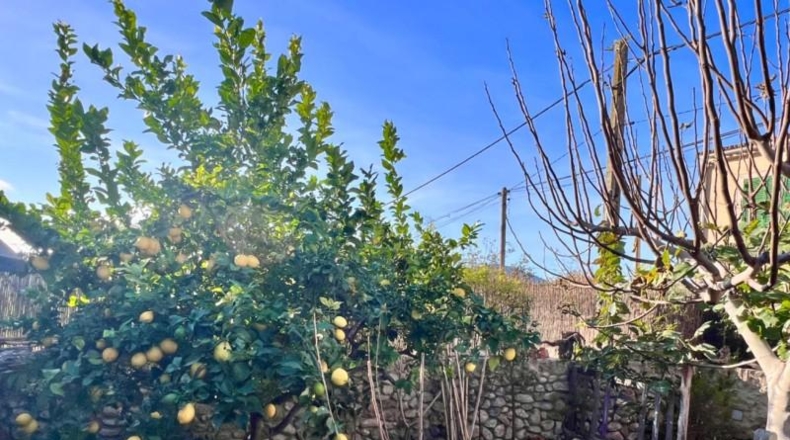 Balearic Islands - Búger - 195m2