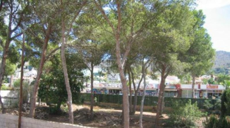 Alicante - Benidorm - 933m2