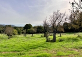 Chalet independiente con terreno en venta en la España, Campanet, ref: TR140511 foto