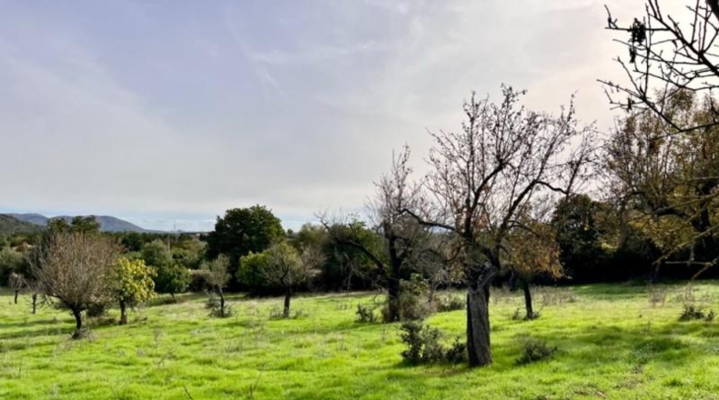 Islas Baleares - Campanet - 17458m2