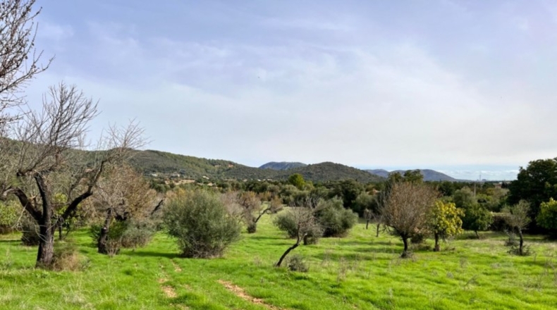 Islas Baleares - Campanet - 17458m2