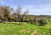 Chalet independiente con terreno en venta en la España, Campanet, ref: TR140511 foto