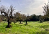 Chalet independiente con terreno en venta en la España, Campanet, ref: TR140511 foto