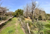 Chalet independiente con terreno en venta en la España, Campanet, ref: TR140511 foto