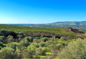 Casa de campo con terreno en venta en la España, Cantillana, ref: TR142677 foto