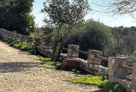 Foto 15