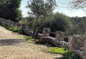 Casa de campo con terreno en venta en la España, Cantillana, ref: TR142677 foto