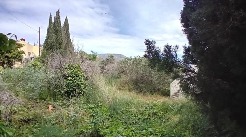 Las Palmas - Agüimes - 3980m2
