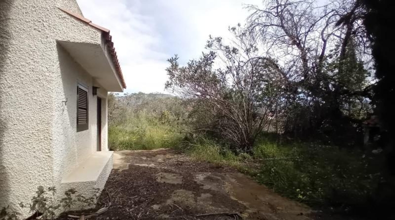 Las Palmas - Agüimes - 3980m2