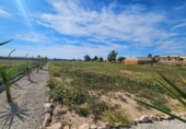 Casa de campo con terreno en venta en la España, Torrellano, ref: TR399709 foto