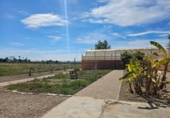 Casa de campo con terreno en venta en la España, Torrellano, ref: TR399709 foto