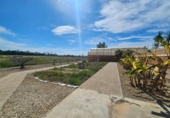 Casa de campo con terreno en venta en la España, Torrellano, ref: TR399709 foto