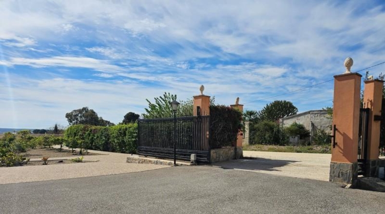 Alicante - Torrellano - 10000m2