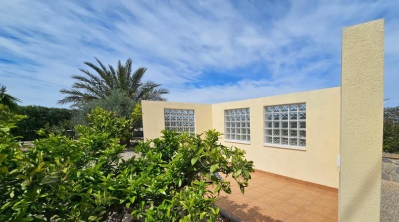 Alicante - Torrellano - 10000m2