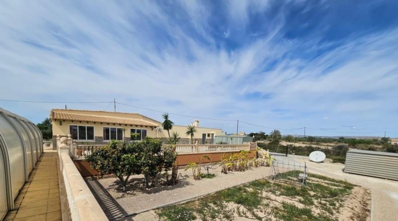 Alicante - Torrellano - 10000m2