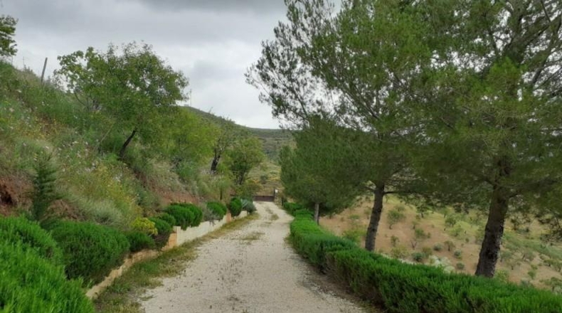 Málaga - Casabermeja - 25000m2