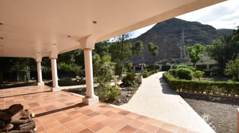 Alicante - Redován - 4800m2