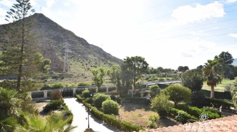 Alicante - Redován - 4800m2
