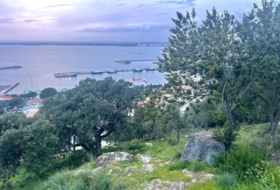 Foto 16