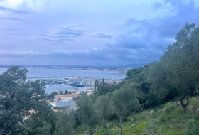 Foto 19