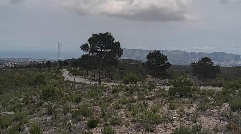 Alicante - La Nucía - 43450m2