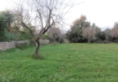 Terreno no urbanizable en venta en la España, Selva, ref: TR179631 foto