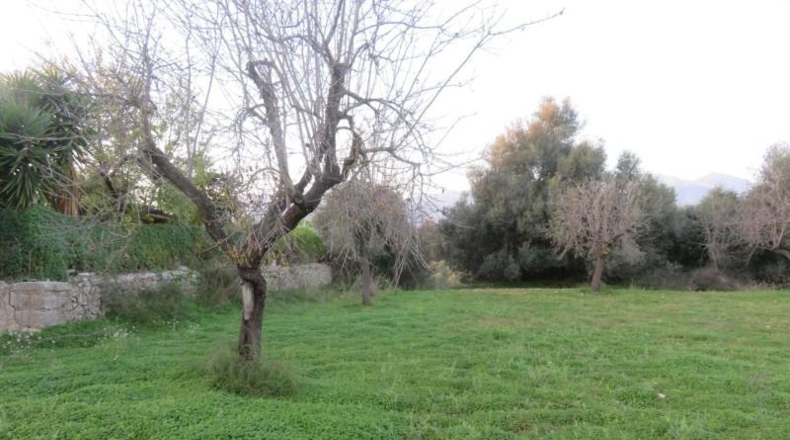 Islas Baleares - Selva - 14577m2