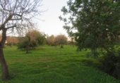 Terreno no urbanizable en venta en la España, Selva, ref: TR179631 foto