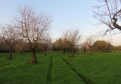 Terreno no urbanizable en venta en la España, Selva, ref: TR179631 foto