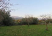 Terreno no urbanizable en venta en la España, Selva, ref: TR179631 foto