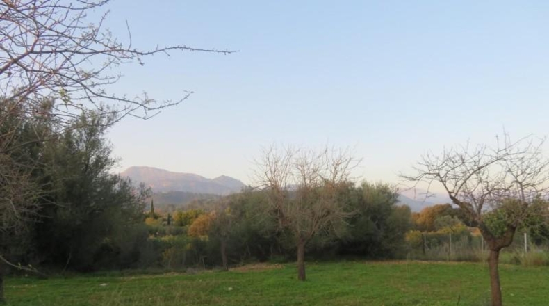 Islas Baleares - Selva - 14577m2