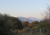 Terreno no urbanizable en venta en la España, Selva, ref: TR179631 foto