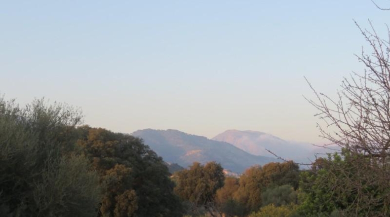 Islas Baleares - Selva - 14577m2