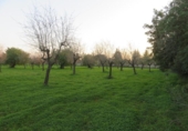 Terreno no urbanizable en venta en la España, Selva, ref: TR179631 foto