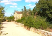 Detached villa with land for sale on España, Manacor, ref: TR368138 photo