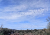 Detached villa with land for sale on España, Manacor, ref: TR398241 photo
