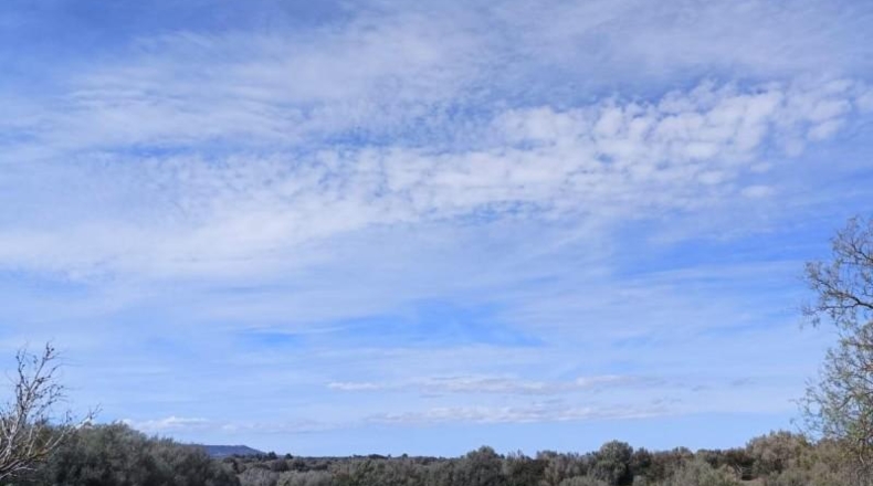 Illes Balears - Manacor - 7280m2