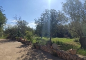 Detached villa with land for sale on España, Manacor, ref: TR398241 photo