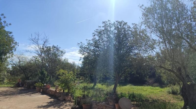 Illes Balears - Manacor - 7280m2