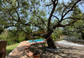 Casa de camp amb terreny en venda a la España, Estepona, ref.: TR383772 foto