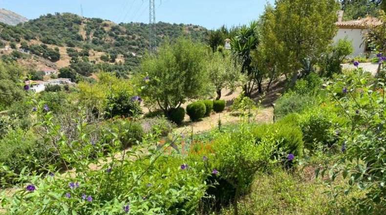 Малага - Estepona - 7905m2