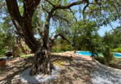 Casa de camp amb terreny en venda a la España, Estepona, ref.: TR383772 foto