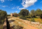 Country house with land for sale on España, Manacor, ref: TR158747 photo