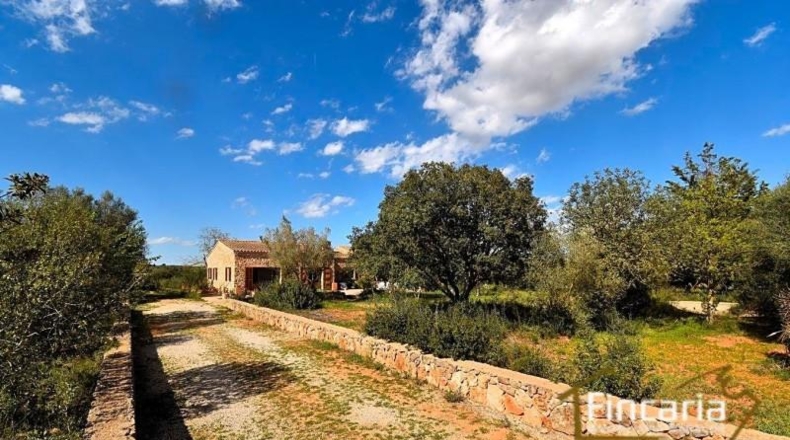Islas Baleares - Manacor - 7088m2