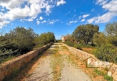 Country house with land for sale on España, Manacor, ref: TR158747 photo