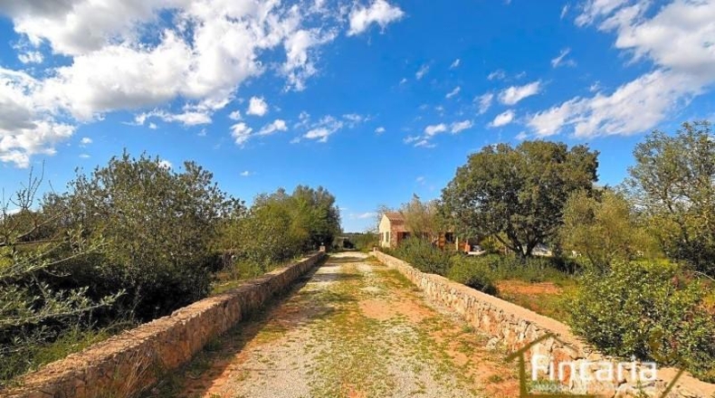 Islas Baleares - Manacor - 7088m2