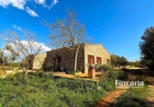 Country house with land for sale on España, Manacor, ref: TR158747 photo
