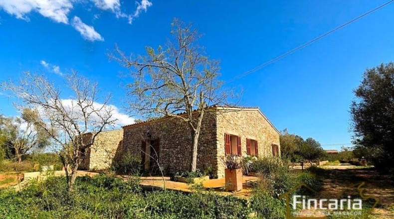 Islas Baleares - Manacor - 7088m2