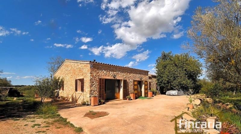 Islas Baleares - Manacor - 7088m2