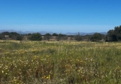 Parcel·la urbanitzable en venda a la España, Petra, ref.: TR395150 foto
